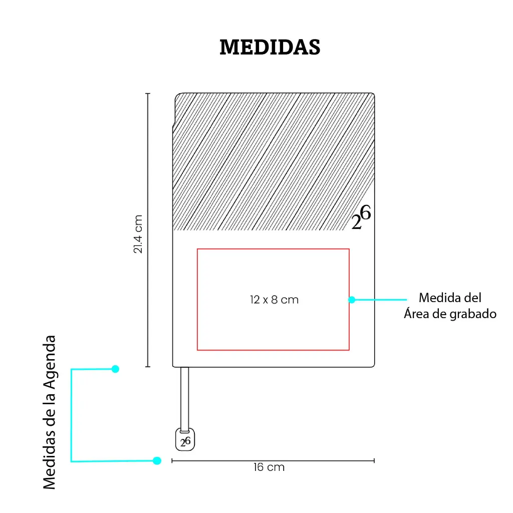 agcs-MEDIDAS.webp