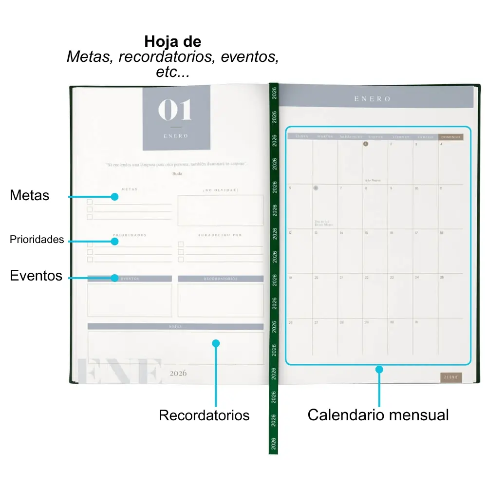 PAGINA INTERNA 3.webp