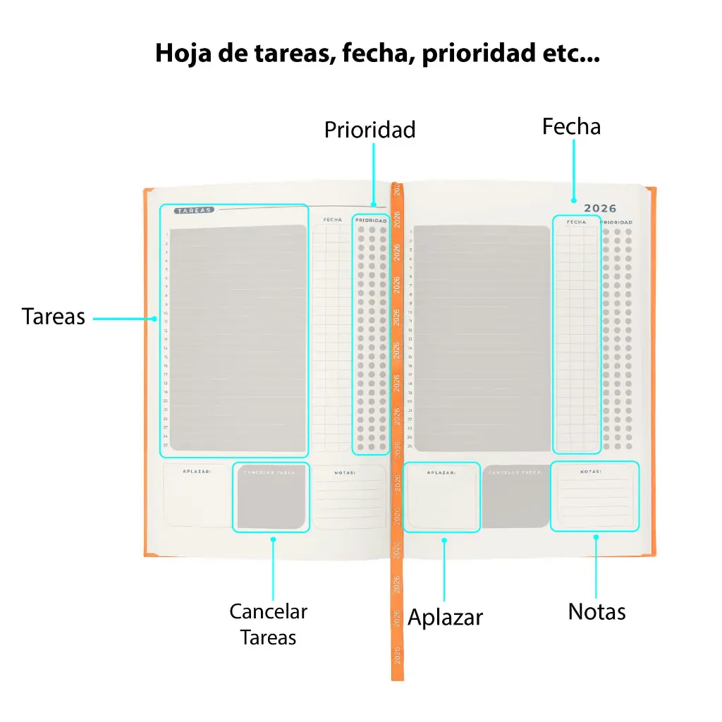 CONTENIDO INTERNO 2.webp