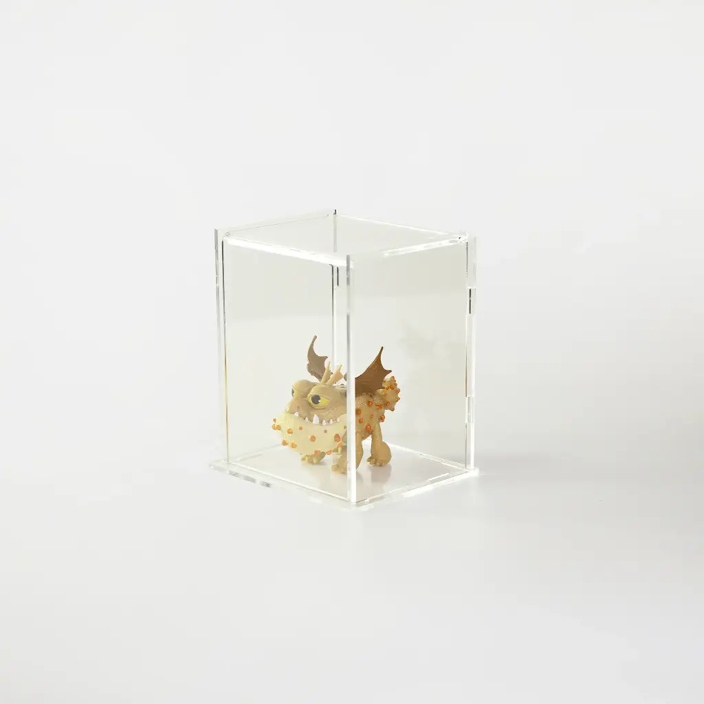 Caja Exhibidor de Acrilico Mediana (12x11x9cm)