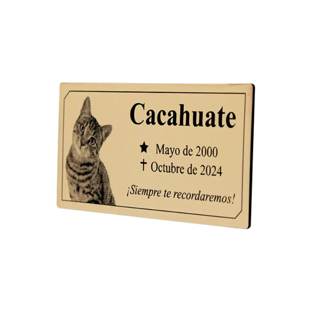 Placa Funeraria Para Mascota Con Foto 12x6 Cm